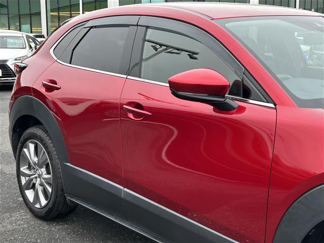 ＣＸ－３０ ２０Ｓ　プロアクティブ　ツーリングセレクション　スマートシティブレーキ　純正ナビ　ＤＶＤ／ＤＴＶ／Ｂｌｕｅｔｏｏｔｈ／ＵＳＢ　バックカメラ　レーダークルーズコントロール　ＬＥＤオートライト　オートハイビーム　ステアリングスイッチ　ＥＴＣ（34枚目）