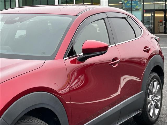 ＣＸ－３０ ２０Ｓ　プロアクティブ　ツーリングセレクション　スマートシティブレーキ　純正ナビ　ＤＶＤ／ＤＴＶ／Ｂｌｕｅｔｏｏｔｈ／ＵＳＢ　バックカメラ　レーダークルーズコントロール　ＬＥＤオートライト　オートハイビーム　ステアリングスイッチ　ＥＴＣ（35枚目）