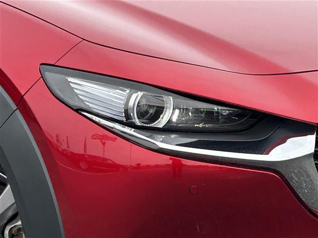 ＣＸ－３０ ２０Ｓ　プロアクティブ　ツーリングセレクション　スマートシティブレーキ　純正ナビ　ＤＶＤ／ＤＴＶ／Ｂｌｕｅｔｏｏｔｈ／ＵＳＢ　バックカメラ　レーダークルーズコントロール　ＬＥＤオートライト　オートハイビーム　ステアリングスイッチ　ＥＴＣ（36枚目）