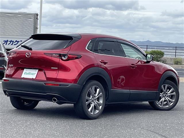CX-30 XD プロアクティブ 取扱説明書/純正ナビ/フルセグテレビ/Bluetooth/AM/FM/DVD/全周囲カメラ/ドライブレコーダー/ブラインドスポットモニター/ヘッドアップディスプレイ/電動リアゲート/オートハイビーム(33枚目)