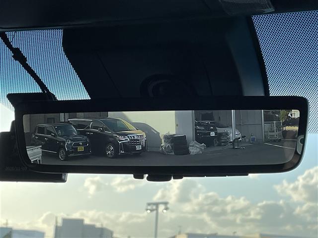 アルファード 2.5S タイプゴールド 純正ナビ・フルセグテレビ・バックカメラ・フリップダウン・両側パワースライドドア・パワーバックドア・プリクラッシュ・レーダークルーズ・ブラインドスポットモニター・デジタルインナーミラー・ETC・純正AW(10枚目)