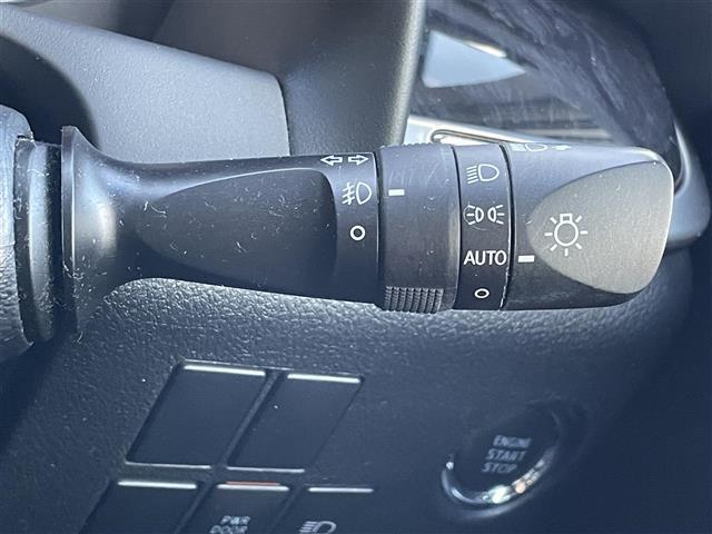 アルファード 2.5S タイプゴールド 純正ナビ・フルセグテレビ・バックカメラ・フリップダウン・両側パワースライドドア・パワーバックドア・プリクラッシュ・レーダークルーズ・ブラインドスポットモニター・デジタルインナーミラー・ETC・純正AW(17枚目)