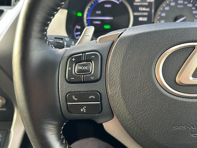 NX NX300h Iパッケージ 純正メーカーナビ・パノラミックビューモニター・レクサスセーフティシステム・プリクラッシュセーフティ・レーダークルーズコントロール・レーントレーシングアシスト・オートマチックハイビーム・スペアキー(30枚目)