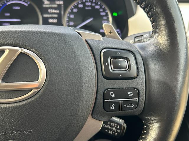 NX NX300h Iパッケージ 純正メーカーナビ・パノラミックビューモニター・レクサスセーフティシステム・プリクラッシュセーフティ・レーダークルーズコントロール・レーントレーシングアシスト・オートマチックハイビーム・スペアキー(31枚目)