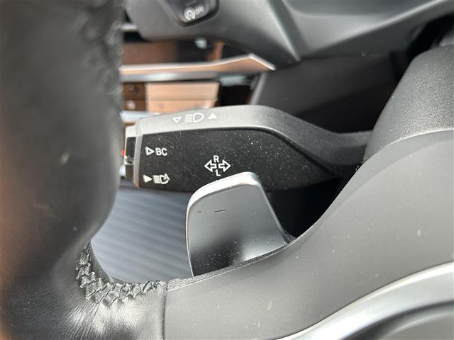 Ｘ３ ｘＤｒｉｖｅ　２０ｄ　Ｍスポーツ　純正ナビ・フルセグ・全周囲カメラ・パワーシート・シートヒーター・電動リアゲート・ブラスポ・ＨＵＤ・ドラレコ・ＥＴＣ・追従クルコン・コーナーセンサー・オートＬＥＤライト・パドルシフト・純正ＡＷ・禁煙車（11枚目）