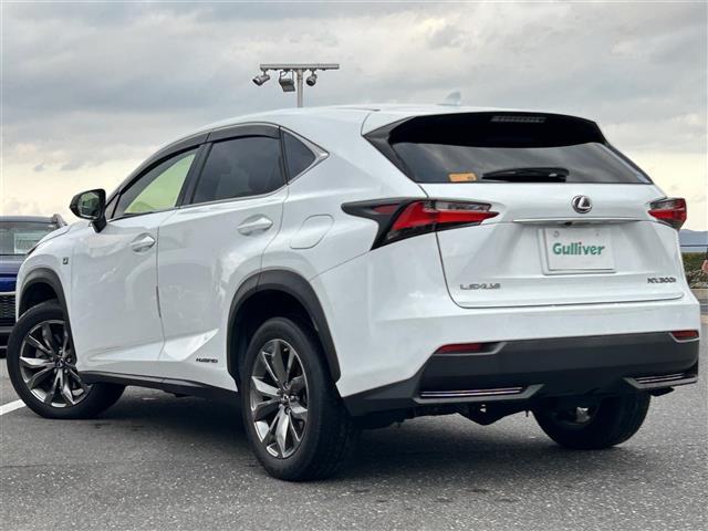 NX NX300h Fスポーツ 純正メーカーナビ・フルセグTV・Bluetooth・横滑り防止装置・レーンキープアシスト・衝突被害軽減ブレーキ・ETC2.0・18インチ純正アルミ・バックカメラ・カーテンエアバッグ・ドライブレコーダー(31枚目)