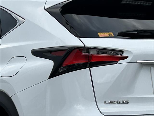 NX NX300h Fスポーツ 純正メーカーナビ・フルセグTV・Bluetooth・横滑り防止装置・レーンキープアシスト・衝突被害軽減ブレーキ・ETC2.0・18インチ純正アルミ・バックカメラ・カーテンエアバッグ・ドライブレコーダー(37枚目)