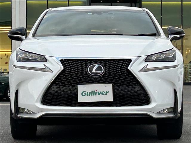 NX NX300h Fスポーツ 純正メーカーナビ・フルセグTV・Bluetooth・横滑り防止装置・レーンキープアシスト・衝突被害軽減ブレーキ・ETC2.0・18インチ純正アルミ・バックカメラ・カーテンエアバッグ・ドライブレコーダー(40枚目)