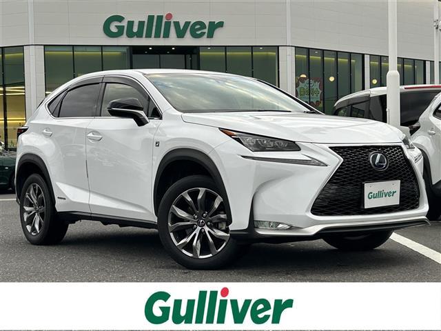 NX NX300h Fスポーツ 純正メーカーナビ・フルセグTV・Bluetooth・横滑り防止装置・レーンキープアシスト・衝突被害軽減ブレーキ・ETC2.0・18インチ純正アルミ・バックカメラ・カーテンエアバッグ・ドライブレコーダー(41枚目)