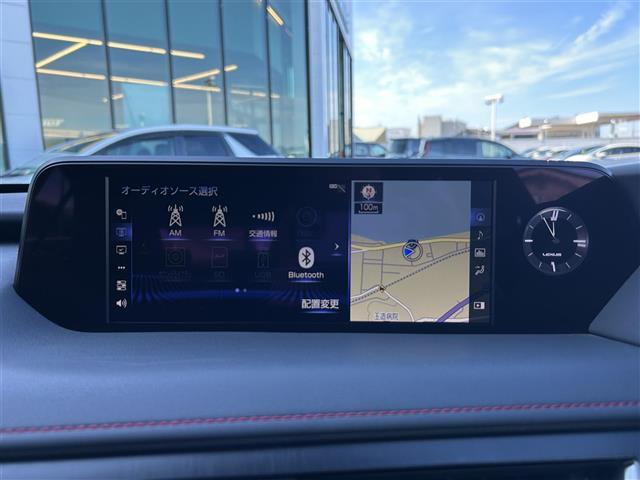 UX UX250h Fスポーツ 純正ナビ・バックカメラ・フルセグテレビ・レーダークルーズコントロール・レーンキープアシスト・ブレーキホールド・パワーバックドア・シートヒーター・衝突軽減システム・パーキングサポートブレーキ・ETC(4枚目)