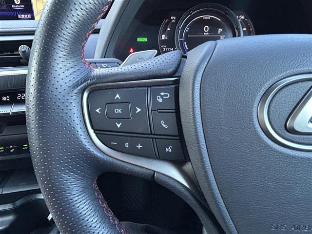 UX UX250h Fスポーツ 純正ナビ・バックカメラ・フルセグテレビ・レーダークルーズコントロール・レーンキープアシスト・ブレーキホールド・パワーバックドア・シートヒーター・衝突軽減システム・パーキングサポートブレーキ・ETC(9枚目)