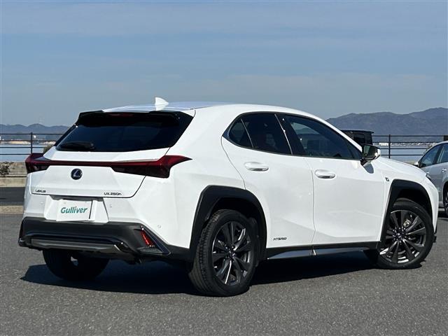 UX UX250h Fスポーツ 純正ナビ・バックカメラ・フルセグテレビ・レーダークルーズコントロール・レーンキープアシスト・ブレーキホールド・パワーバックドア・シートヒーター・衝突軽減システム・パーキングサポートブレーキ・ETC(31枚目)