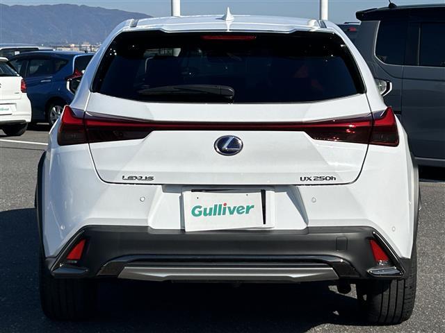 UX UX250h Fスポーツ 純正ナビ・バックカメラ・フルセグテレビ・レーダークルーズコントロール・レーンキープアシスト・ブレーキホールド・パワーバックドア・シートヒーター・衝突軽減システム・パーキングサポートブレーキ・ETC(32枚目)