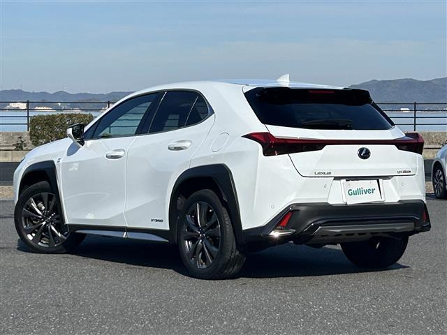 UX UX250h Fスポーツ 純正ナビ・バックカメラ・フルセグテレビ・レーダークルーズコントロール・レーンキープアシスト・ブレーキホールド・パワーバックドア・シートヒーター・衝突軽減システム・パーキングサポートブレーキ・ETC(33枚目)