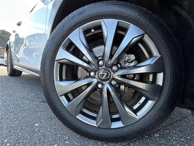 UX UX250h Fスポーツ 純正ナビ・バックカメラ・フルセグテレビ・レーダークルーズコントロール・レーンキープアシスト・ブレーキホールド・パワーバックドア・シートヒーター・衝突軽減システム・パーキングサポートブレーキ・ETC(40枚目)