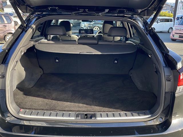 ＲＸ ＲＸ３００　Ｆスポーツ　純正１２．３型ナビ　全周囲カメラ　パノラマサンルーフ　ＢＳＭ　ＨＵＤ　本革シート　ＥＴＣ２．０　ドラレコ　パワーバックドア　ステアヒーター　シートヒーター　エアシート　パワーシート　ＵＳＢ給電　禁煙車（31枚目）