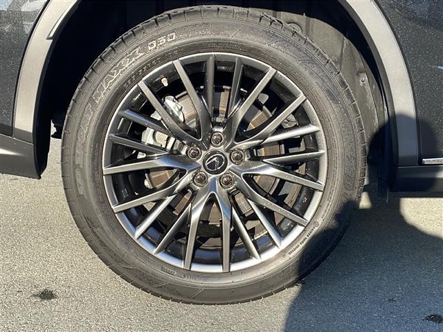 ＲＸ ＲＸ３００　Ｆスポーツ　純正１２．３型ナビ　全周囲カメラ　パノラマサンルーフ　ＢＳＭ　ＨＵＤ　本革シート　ＥＴＣ２．０　ドラレコ　パワーバックドア　ステアヒーター　シートヒーター　エアシート　パワーシート　ＵＳＢ給電　禁煙車（41枚目）