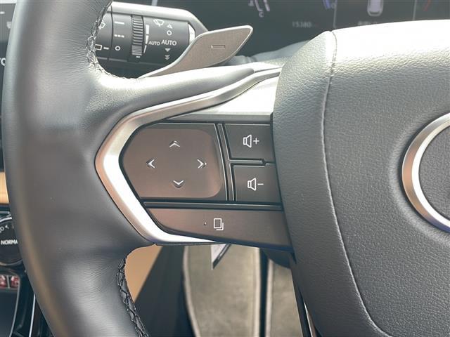 ＮＸ ＮＸ２５０　バージョンＬ　純正ナビ　サンルーフ　全周囲カメラ　ＢＳＭ　デジタルインナーミラー　本革シート　ワイヤレス充電器　ビルトインＥＴＣ　社外ドラレコ　ステアヒーター　パワーバックドア　ＡＣ１００Ｖ　前席シートヒーター（24枚目）