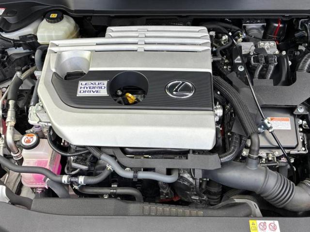 �S���ɓX�܂�W�J���Ă���̂łǂ��ł������񂹂��\�ł��I���̎Ԃ��C�ɂȂ邯�ǉ���������E�E�E�ƒ��߂�K�v�͂���܂���I���ʓr������K�v�ł��B