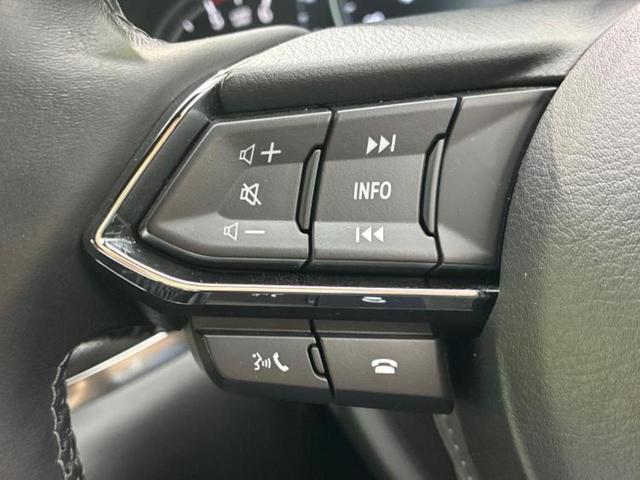 CX-8 XDスポーツアピアランス 新品タイヤ/保証書/ディスプレイオーディオ/衝突安全装置/シートヒーター/全方位モニター/車線逸脱防止支援システム/電動バックドア/ヘッドランプ LED/ETC/EBD付ABS/横滑り防止装置 記録簿(29枚目)