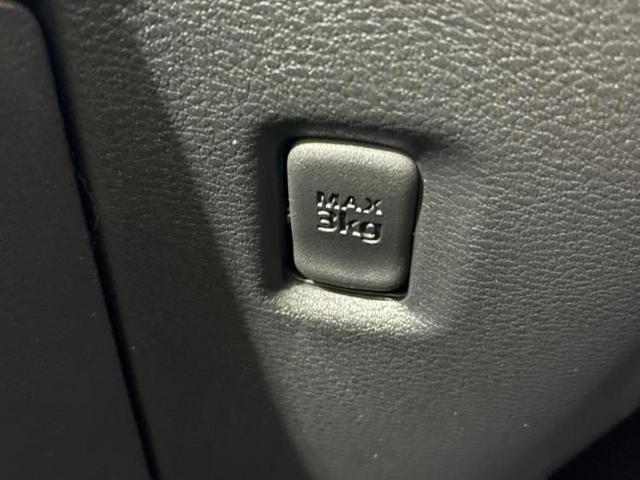 デリカミニ ４ＷＤ　Ｔプレミアムリミテッドエディション　保証書／ディスプレイオーディオ９インチ／イーアシスト（ミツビシ）／両側電動スライドドア／シートヒーター　前席／車線逸脱防止支援システム／登録済未使用車／ヘッドランプ　ＬＥＤ　衝突被害軽減システム（48枚目）