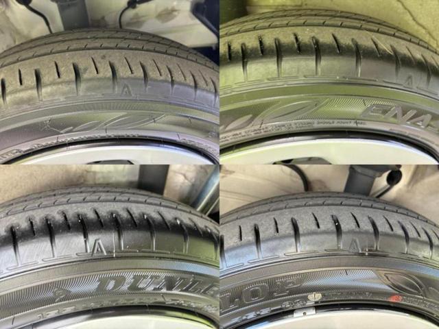 �u���̎Ԃ̎ʐ^�������ƌ������v�u��Ԃ��C�ɂȂ�v�u���̑����͂��Ă���H�v�ǂ�ȏ����ȋ^��ł����C�y�ɂ��₢���킹���������I