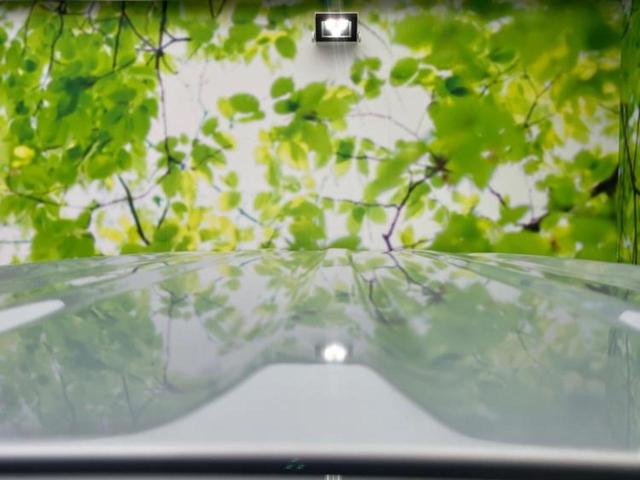 Ｎ－ＢＯＸ Ｇ・Ｌホンダセンシング　保証書／純正　ＳＤナビ／両側電動スライドドア／ヘッドランプ　ＬＥＤ／ＥＴＣ／ＥＢＤ付ＡＢＳ／横滑り防止装置／アイドリングストップ／フルセグＴＶ／エアバッグ　運転席／エアバッグ　助手席　ワンオーナー（57枚目）