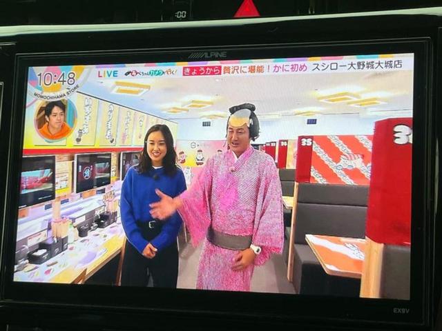 ハリアー プレミアム　サンルーフ／社外　９インチ　ＳＤナビ／衝突安全装置／車線逸脱防止支援システム／シート　ハーフレザー／電動バックドア／ヘッドランプ　ＬＥＤ／ＥＴＣ／ＥＢＤ付ＡＢＳ／横滑り防止装置　衝突被害軽減システム（12枚目）