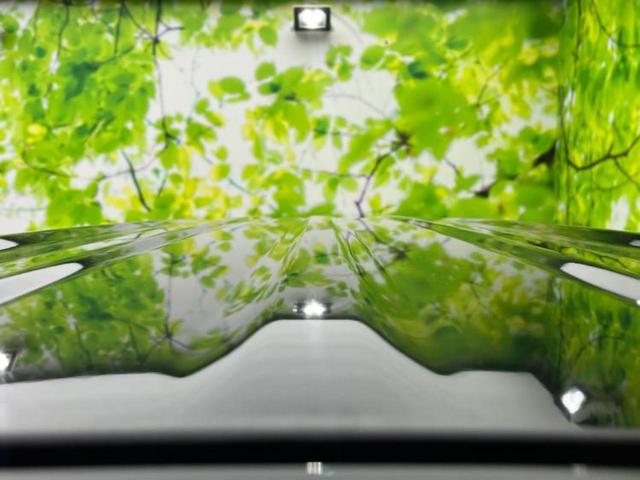 N-BOX G・Lホンダセンシング 保証書/社外 SDナビ/電動スライドドア/ドライブレコーダー 社外/ヘッドランプ LED/USBジャック/Bluetooth接続/ETC/EBD付ABS/横滑り防止装置/アイドリングストップ ドラレコ(58枚目)