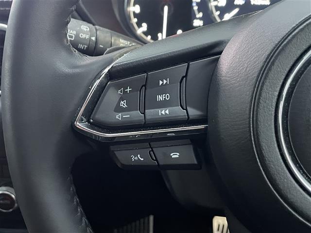 ＣＸ－８ ＸＤ　グランドジャーニー　ＢＯＳＥ　純正１０型ナビ　全方位カメラ　サンルーフ　パワーバックドア　３列シート　社外ドラレコ付きデジタルミラー　パワーシート　シートヒーター　ＥＴＣ　ヘッドアップディスプレイ　アダプティブＬＥＤ（13枚目）