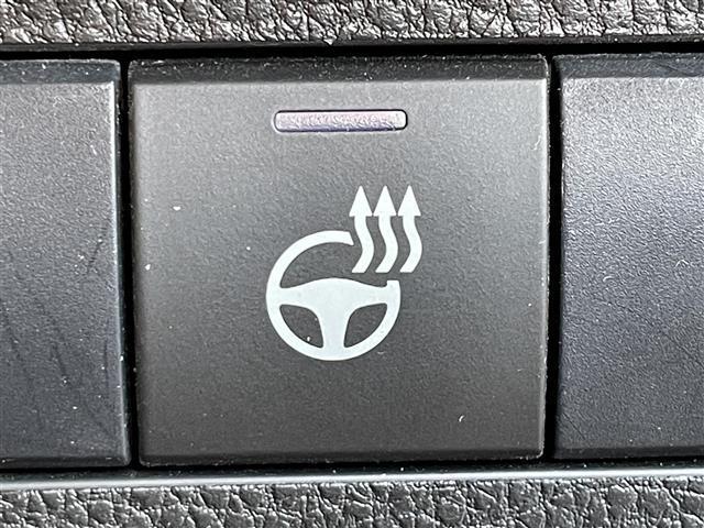 RAV4 アドベンチャー 9型ディスプレイ Bluetooth ETC ドラレコ バックカメラ パワーシート シートベンチレーション ハンズフリーパワーバックドア レーダークルコン AC100V LEDオートライト(22枚目)