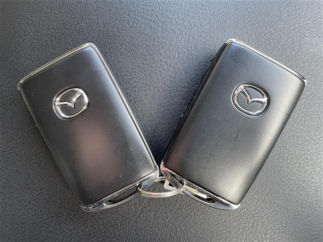 ＣＸ－５ ＸＤ　シルクベージュセレクション　ナビ　フルセグ　全方位カメラ　ＥＴＣ　ドラレコ　Ｂｌｕｅｔｏｏｔｈ　ステアリングヒーター　シートヒーター　パワーシート　追従クルコン　ブラインドスポットモニター　パワーバックドア　フォグランプ　ＬＥＤ（23枚目）