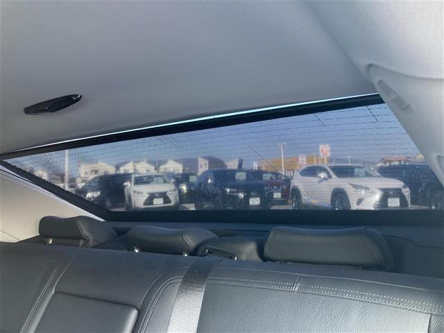 Sクラス S350 ブルーエフィシェンシー グランドED 禁煙車 純正HDDナビ バックカメラ サンルーフ ブラックレザーシート パワーシート シートヒーター クルコン 木目革巻きコンビステア HIDオートライト リアフォグ パドルシフト 純19インチAW(39枚目)