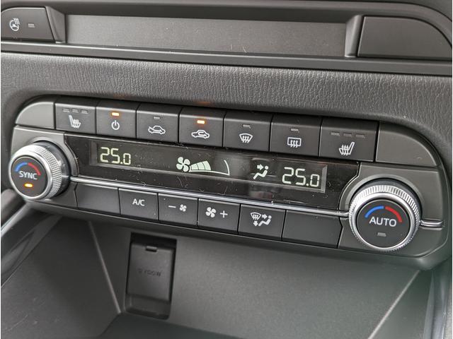 XD ブラックトーンエディション 登録済未使用車 メーカーOP純正ナビ 全方位カメラ フルセグTV アダプティブクルーズコントロール ブラインドスポットモニター コーナーセンサー レーンキープアシスト 置くだけ充電 パワーシート(31枚目)