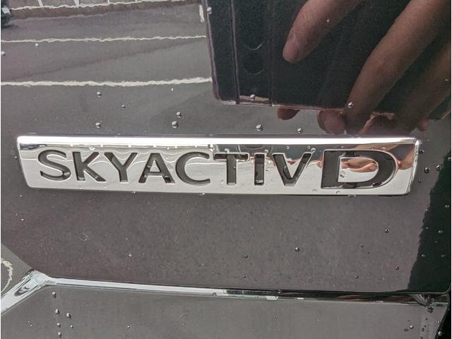 XD ブラックトーンエディション 登録済未使用車 メーカーOP純正ナビ 全方位カメラ フルセグTV アダプティブクルーズコントロール ブラインドスポットモニター コーナーセンサー レーンキープアシスト 置くだけ充電 パワーシート(63枚目)