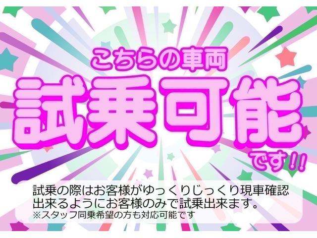 ムーヴキャンバス Ｘリミテッドメイクアップ　ＳＡＩＩ（22枚目）