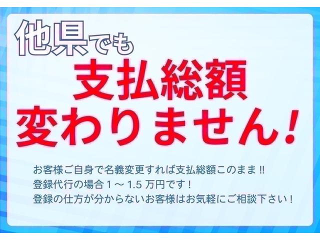 ムーヴキャンバス Ｘリミテッドメイクアップ　ＳＡＩＩ（29枚目）
