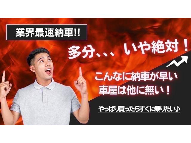 ムーヴキャンバス Ｘリミテッドメイクアップ　ＳＡＩＩ（33枚目）