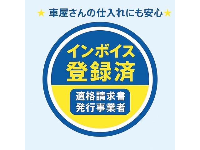 ムーヴキャンバス Ｘリミテッドメイクアップ　ＳＡＩＩ（36枚目）