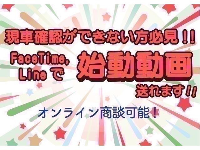 ムーヴキャンバス Ｘリミテッドメイクアップ　ＳＡＩＩ（56枚目）