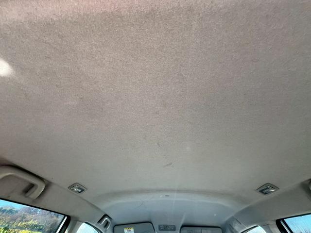 ステラ Ｌリミテッド（28枚目）