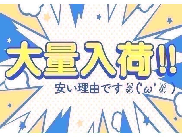 ステラ Ｌリミテッド（46枚目）