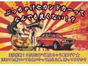 Ｘリミテッドメイクアップ　ＳＡＩＩ（40枚目）