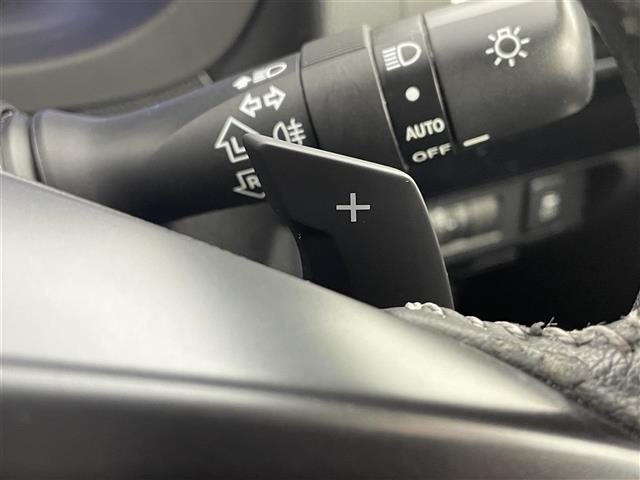 レヴォーグ 1.6GTアイサイト ・4WD・ディーラーオプションSDナビゲーション(CN-R300D) CD/DVD/SD/iPod/ワンセグ・ビルトインETC・バックカメラ・前後ドライブレコーダー(KZR-S100W)・前後ドラレコ(15枚目)