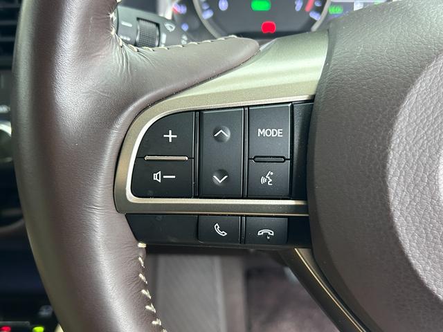 RX RX450h バージョンL メーカーナビ/純正エンスタ/全方位カメラ/ETC/本革シート/シートヒーター&ベンチレーション/D+N席パワーシート/ヘッドアップディスプレイ/レーダークルーズコントロール/ステアリングヒーター(57枚目)