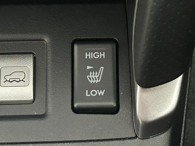 フォレスター ダイヤトーンサウンドナビ/BT/フルセグTV/バックカメラ/ドラレコ/ビルトインETC/アイサイト/衝突被害軽減ブレーキ/レーンキープ/追従式クルコン/BSM/SRH/LEDライト/全席シートヒーター(10枚目)