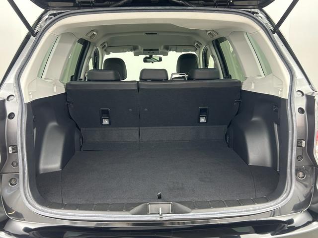 フォレスター ダイヤトーンサウンドナビ/BT/フルセグTV/バックカメラ/ドラレコ/ビルトインETC/アイサイト/衝突被害軽減ブレーキ/レーンキープ/追従式クルコン/BSM/SRH/LEDライト/全席シートヒーター(18枚目)