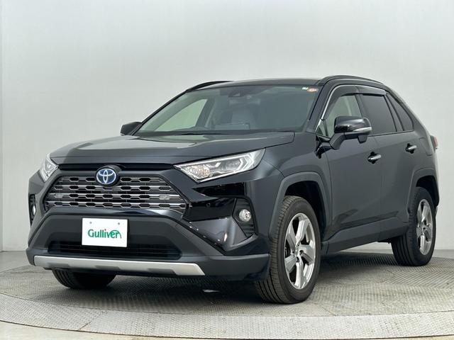 ＲＡＶ４ ハイブリッドＧ　衝突被害軽減ブレーキ／レーンキープアシスト／レーダークルーズコントロール／社外ナビ／バックカメラ／フルセグＴＶ／Ｂｌｕｅｔｏｏｔｈ／寒冷地仕様／ＥＴＣ／スマートキー／プッシュスタート／オートライト（44枚目）