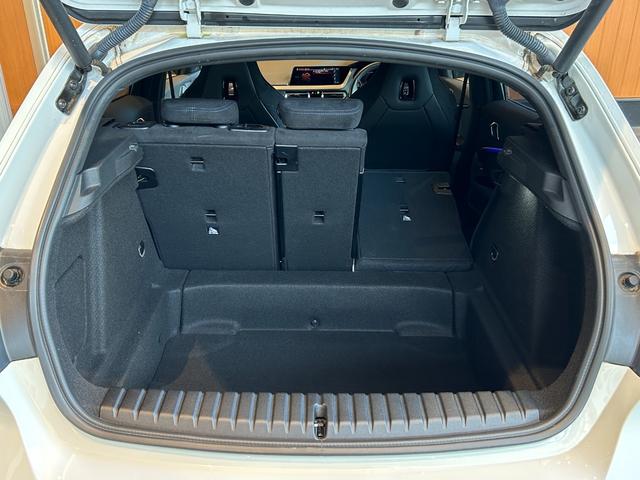 １シリーズ １１８ｄ　Ｍスポーツ　ｉＤｒｉｖｅナビゲーションＰＫＧ　コンフォートＰＫＧ　ＭスポーツプラスＰＫＧ　ＴＶ　ＬＥＤヘッドライト　１８インチＡＷ　Ｍスポーツシート　Ｍスポーツブレーキ　コンフォートアクセス　パワーバックドア（61枚目）