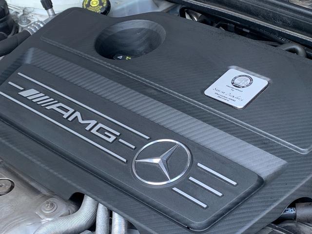 SELETRON エキゾーストバルブコントローラー AMGA45-